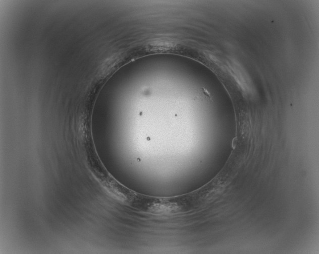 X0000062670455200512281743