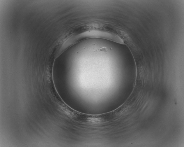 X0000062670457200512281743