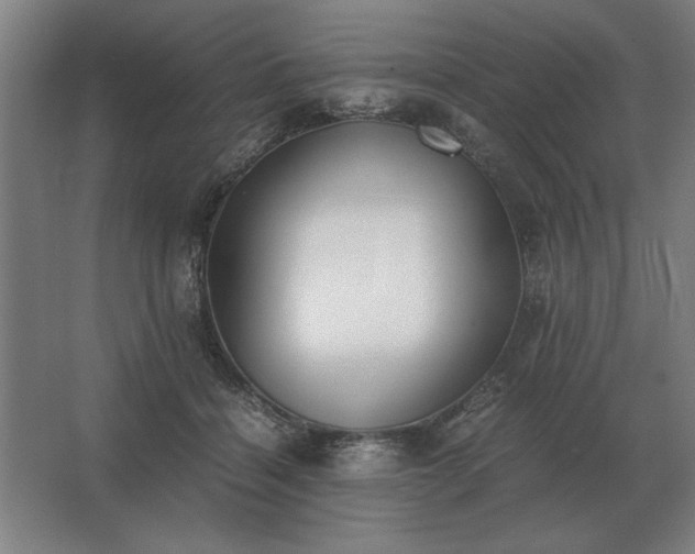 X0000062670460200512281743