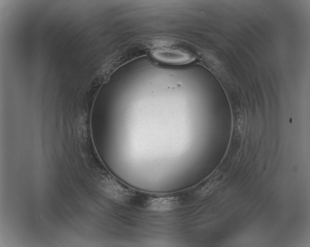 X0000062670461200512281743