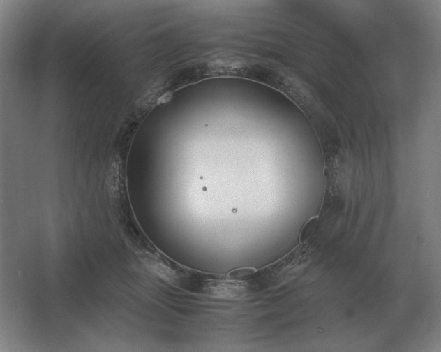 X0000062670463200512281743