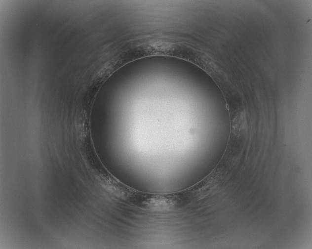 X0000062670464200512281743