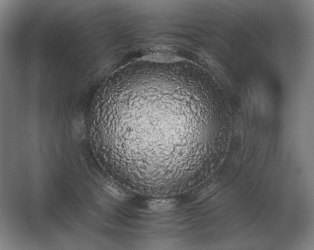 X0000062670465200512281743