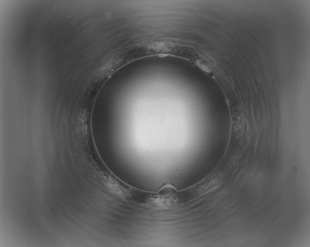 X0000062670466200512281743