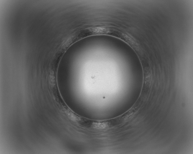 X0000062670469200512281743