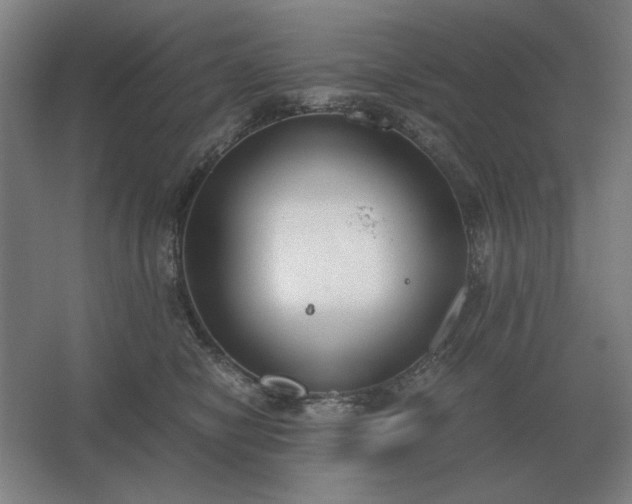 X0000062670470200512281743