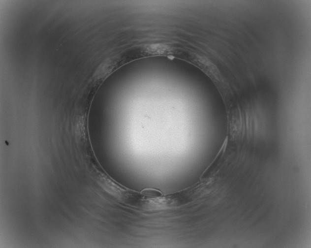 X0000062670473200512281744