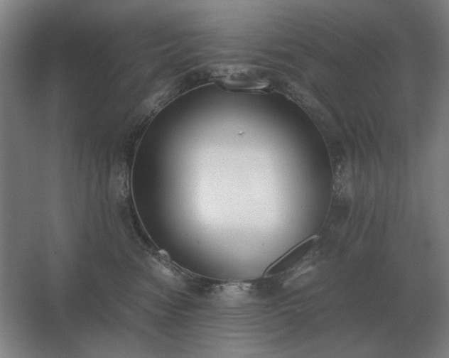 X0000062670474200512281744