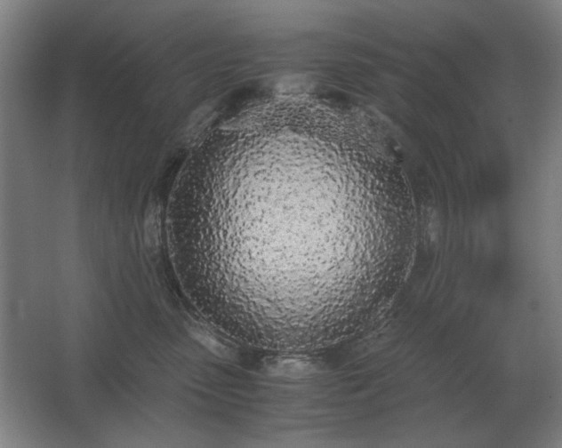 X0000062670475200512281744