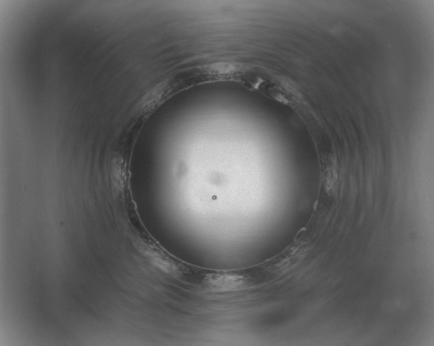 X0000062670476200512281744