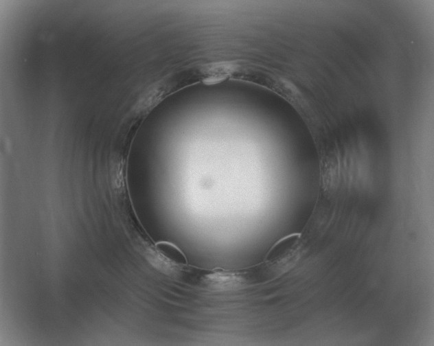 X0000062670477200512281744