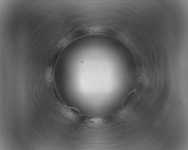 X0000062670478200512281744