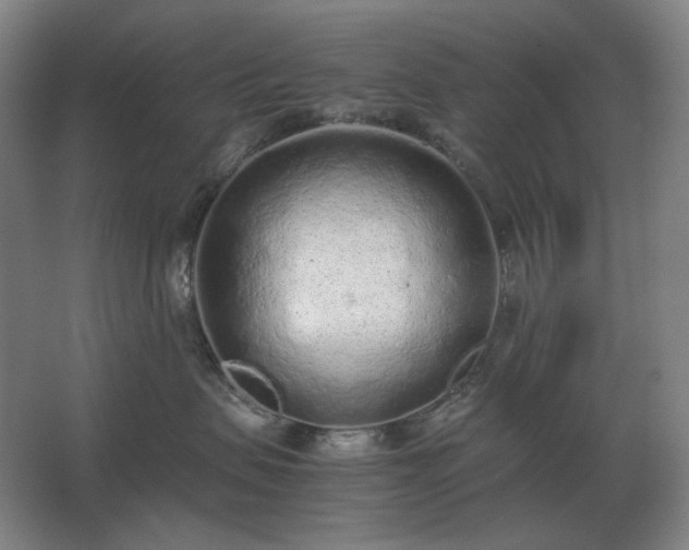 X0000062670479200512281744