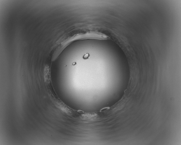 X0000062670480200512281744