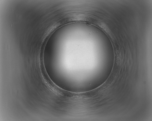 X0000062670482200512281743