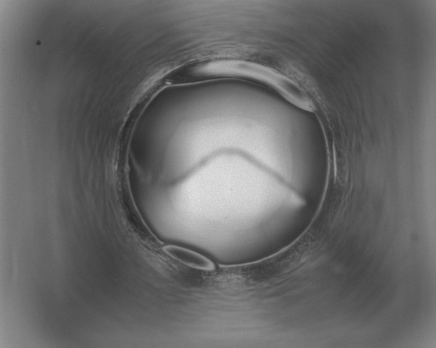 X0000062670483200512281743