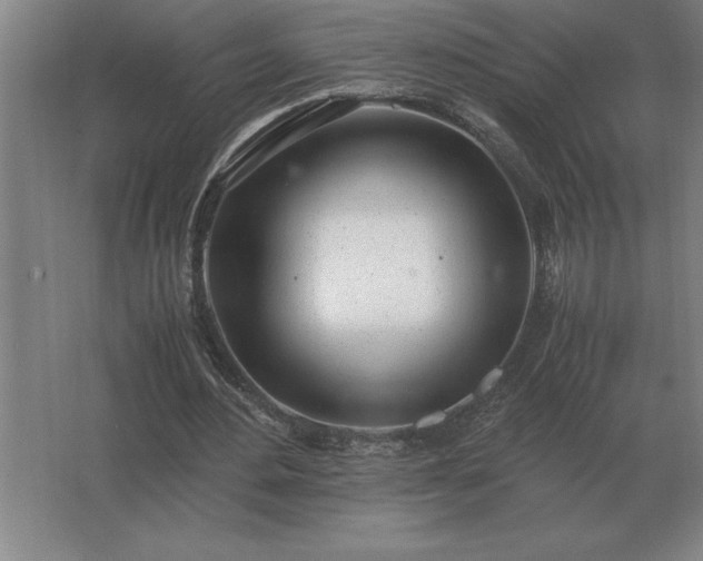 X0000062670484200512281743