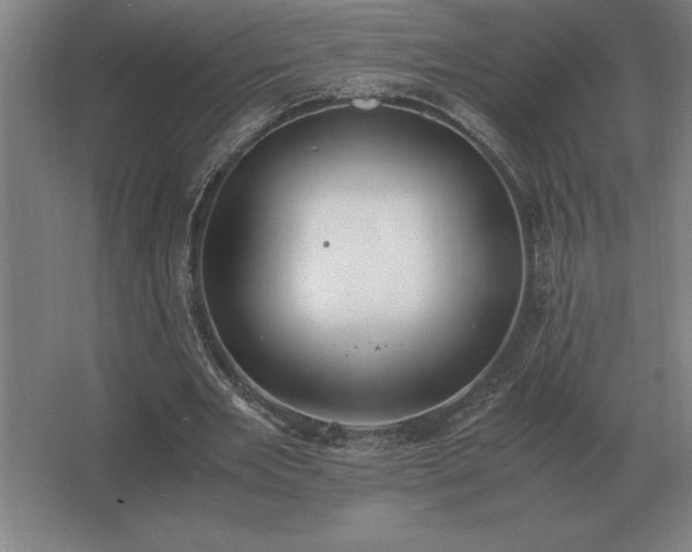 X0000062670485200512281743