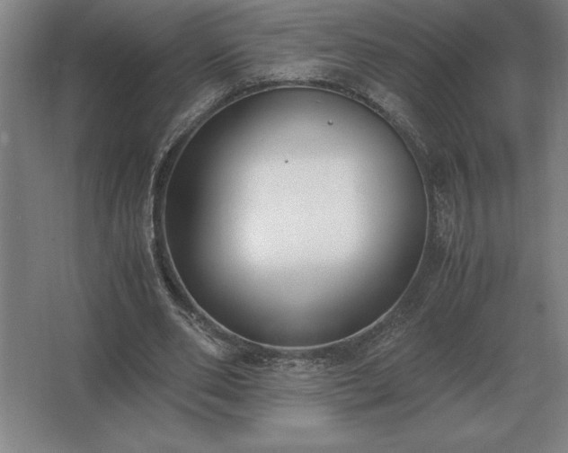 X0000062670486200512281743