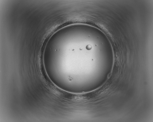 X0000062670487200512281743