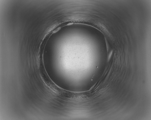 X0000062670488200512281743