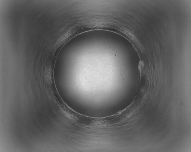 X0000062670489200512281743