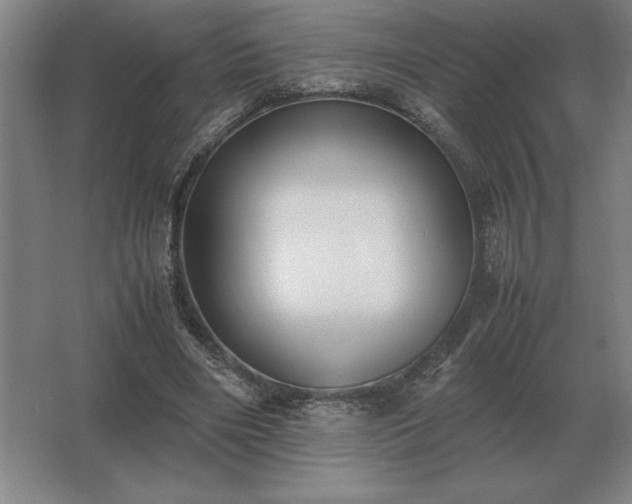 X0000062670490200512281743