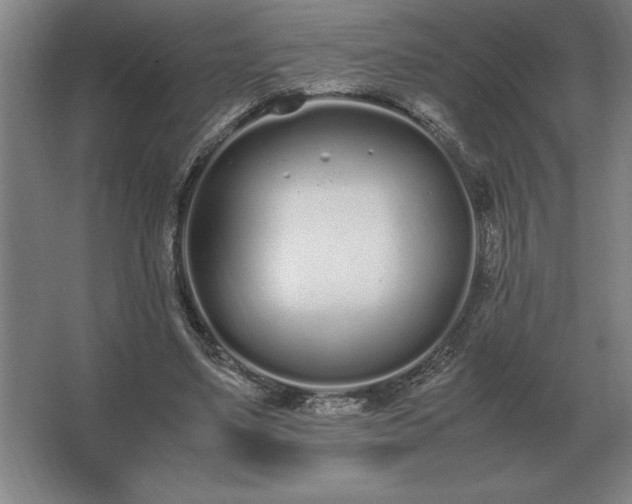 X0000062670491200512281743