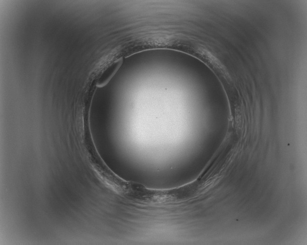 X0000062670493200512281743