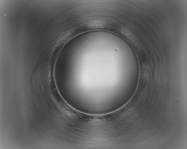 X0000062670494200512281743