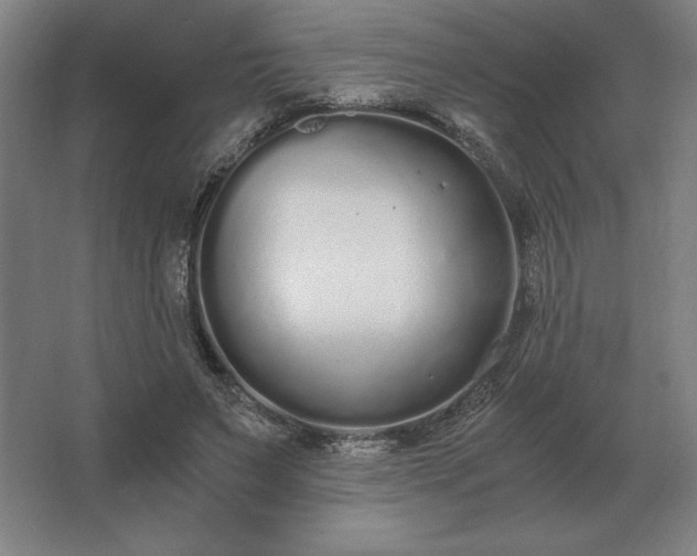 X0000062670495200512281743