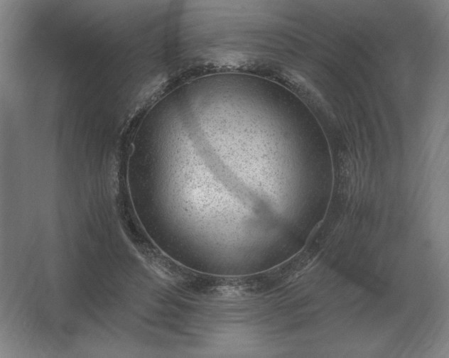 X0000062670496200512281743