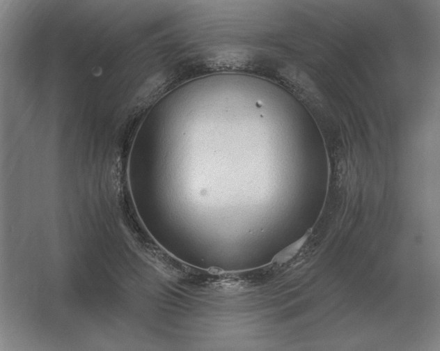 X0000062670498200512281743