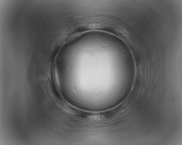 X0000062670499200512281743