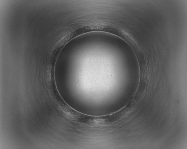 X0000062670501200512281742