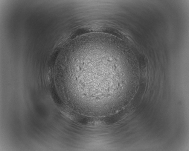 X0000062670503200512281742