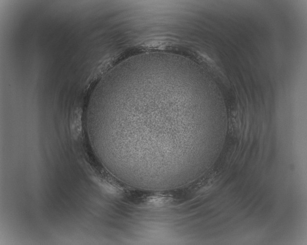 X0000062670504200512281742