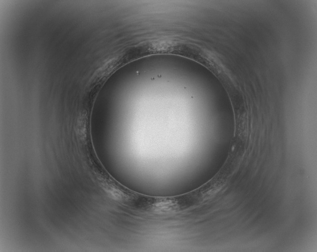 X0000062670505200512281742