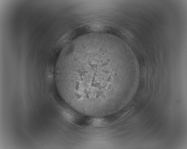 X0000062670507200512281742