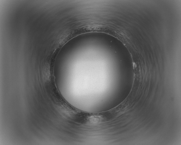 X0000062670508200512281742