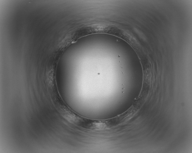 X0000062670509200512281742