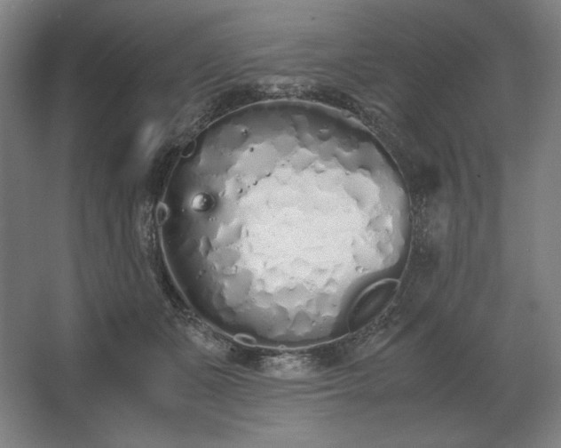 X0000062670511200512281742