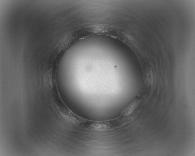 X0000062670512200512281742