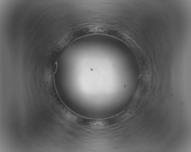 X0000062670513200512281742