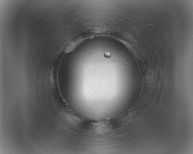 X0000062670516200512281742