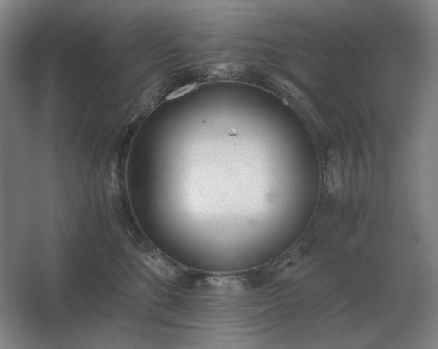 X0000062670520200512281742