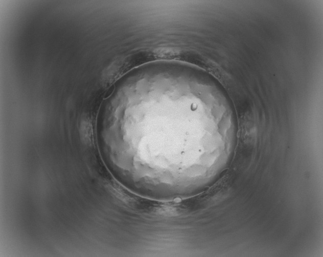 X0000062670523200512281742