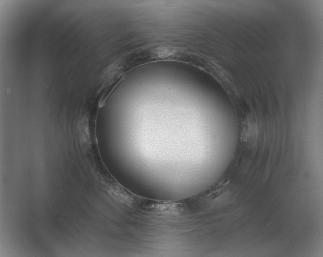 X0000062670524200512281742