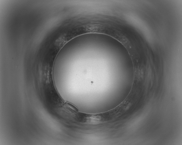 X0000062670525200512281742