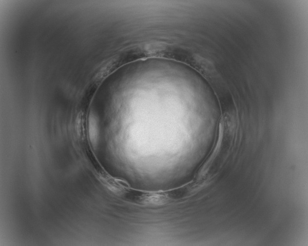 X0000062670527200512281742